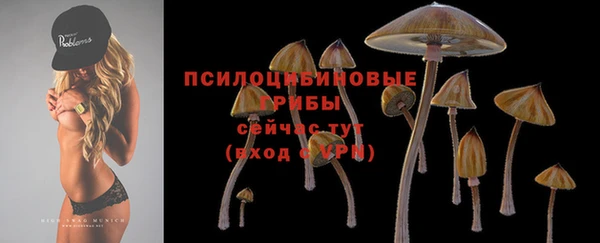 прущие крисы Баксан