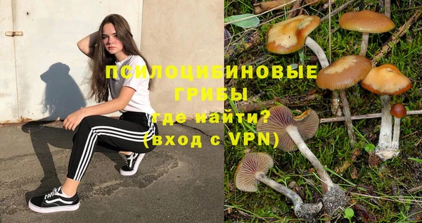 прущие крисы Баксан