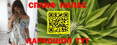 мдпв Малгобек