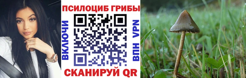 Псилоцибиновые грибы мухоморы  Долгопрудный 