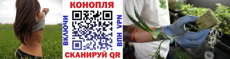 МЕГА как войти  Долгопрудный  Каннабис MAZAR 